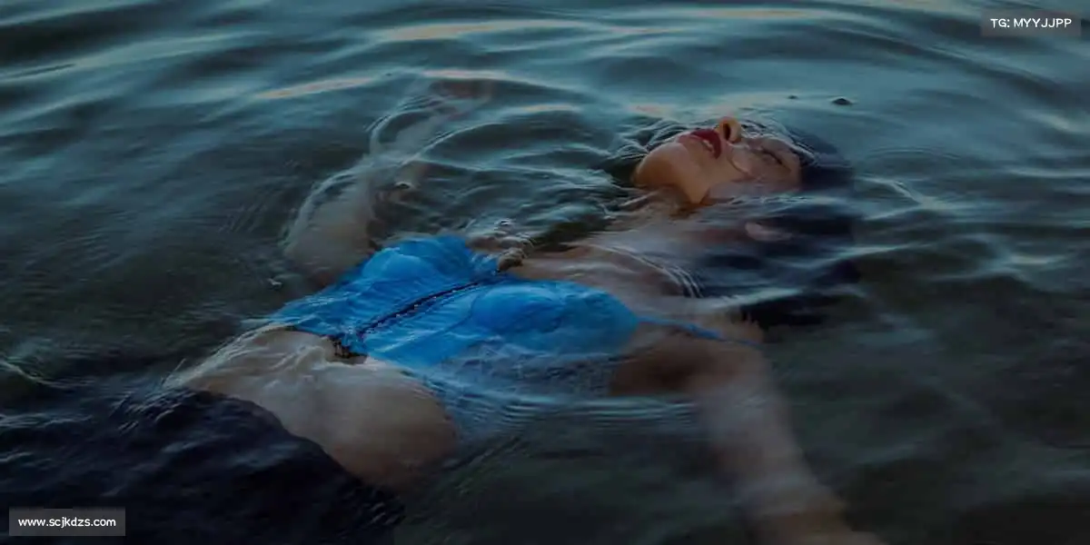 为什么选择我们